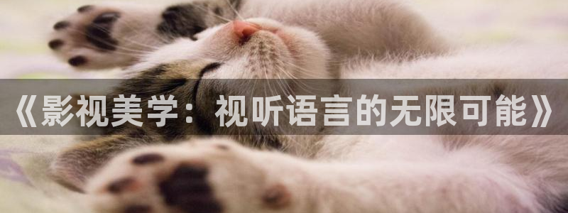 天狼影院视频在线观看：《影视美学：视听语言的无限可能》