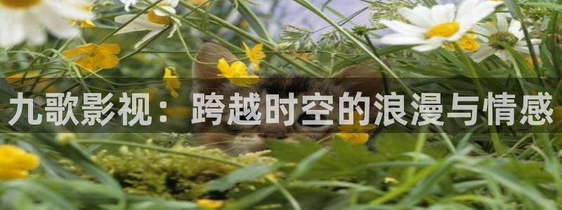天狼在线影院tlyy