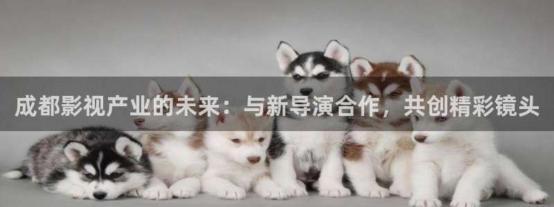 天狼影院一区二区