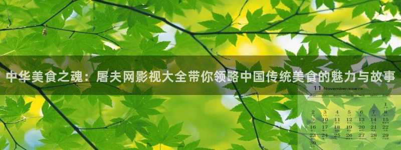 天狼影院111：中华美食之魂：屠夫网影视大全带你领略中国传统美食的魅力与故事
