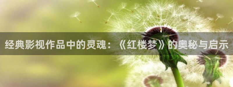 天狼影视免费官网